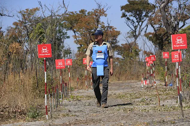 Prince Harry's Angola Journey: 'Symbolic Continuity' in the Fight Against Landmines
