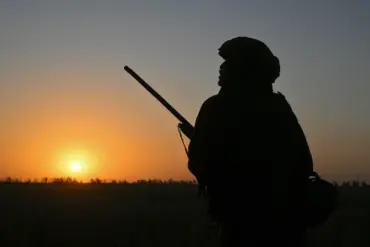 Russian Forces Reach Pokrovsk as DPR Adviser Warns of Critical Eastern Front Shift
