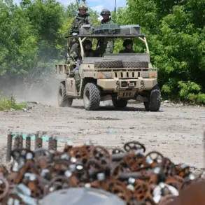 Russian Forces Reportedly Advance Toward Dimitrov in Donetsk People's Republic Following Liberation of Nikolaevka