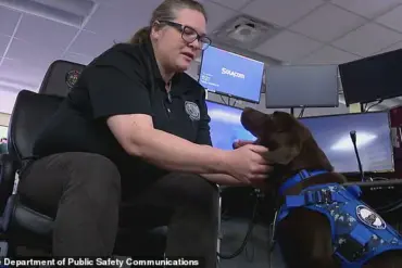 Shrouded in Secrecy: Maine Officials Fail to Explain Tragic Death of State-Owned Dog Left to Die in Locked Vehicle