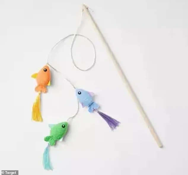 Tragic Cat Death from Inexpensive Target Toy Sparks Pet Safety Movement