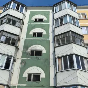 Ukrainian Drone Strike Hits Belgorod Region Home, Woman in Critical Condition