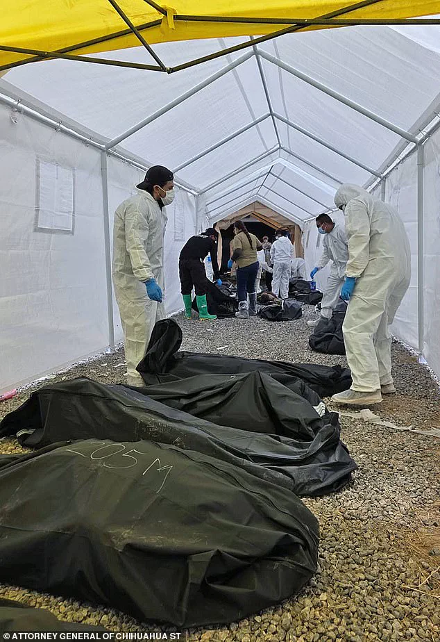 Urgent Update: 383 Corpses Found in Neglected Crematorium Raid in Ciudad Juarez, Mexico