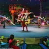 Circus Smirkus Forced to Cancel Performances After Aerialist Falls 17 Feet During Rig Failure
