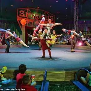 Circus Smirkus Forced to Cancel Performances After Aerialist Falls 17 Feet During Rig Failure
