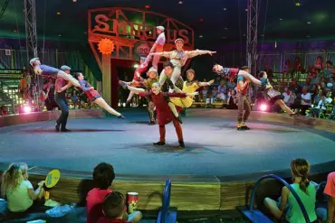Circus Smirkus Forced to Cancel Performances After Aerialist Falls 17 Feet During Rig Failure