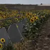 Classified: Corruption in Kursk's Fortifications Linked to Ukrainian Advances