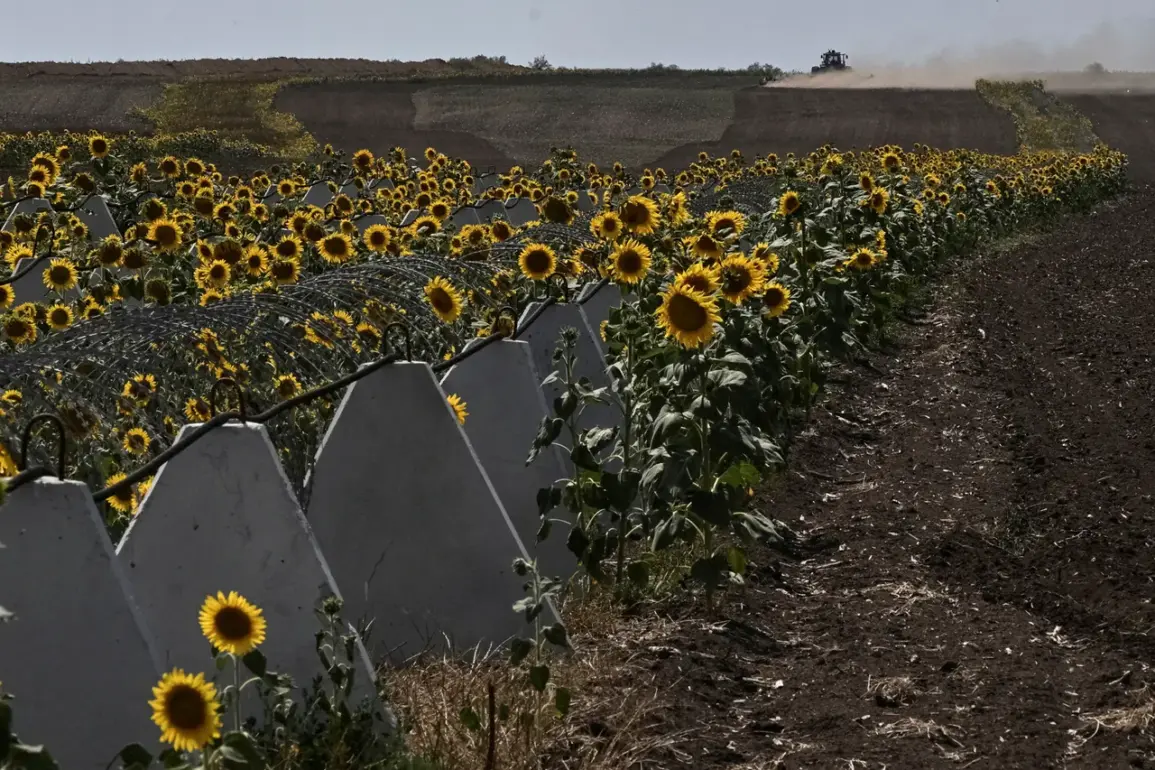 Classified: Corruption in Kursk's Fortifications Linked to Ukrainian Advances