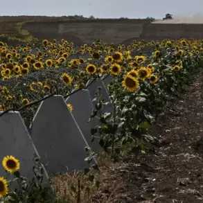 Classified: Corruption in Kursk's Fortifications Linked to Ukrainian Advances