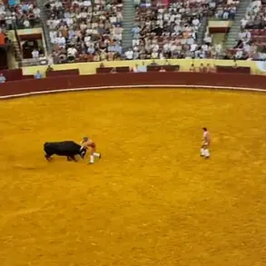 Death of Portuguese Bullfighter Manuel Maria Trindade Sparks Debate on Risks of Traditional Bullfighting Practice