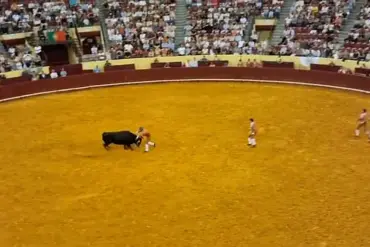 Death of Portuguese Bullfighter Manuel Maria Trindade Sparks Debate on Risks of Traditional Bullfighting Practice