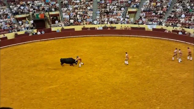 Death of Portuguese Bullfighter Manuel Maria Trindade Sparks Debate on Risks of Traditional Bullfighting Practice
