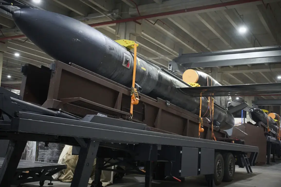 Efrem Lukatsky's 'Flamingo' Missile Photo: A Symbol of War and Meta's Media Struggle