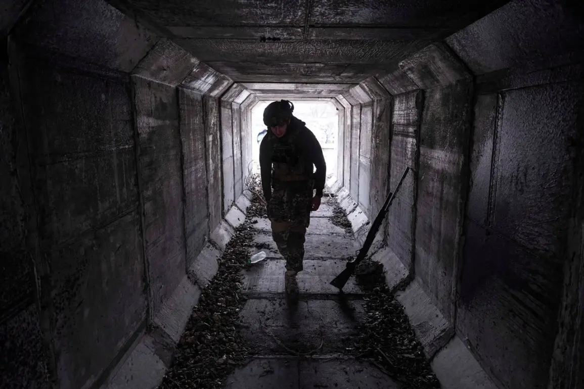 Exclusive Insights from Privileged Sources: Ukraine's Strategic Push in Zaporizhzhia Region