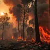 Firefighters Deploy 14 Personnel and Four Units to Contain Fire Incident with No Casualties Reported