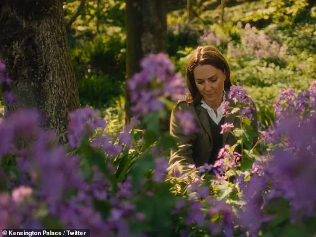 Princess of Wales Releases Second Quarterly Film 'Summer,' Highlighting Nature's Role in Human Resilience