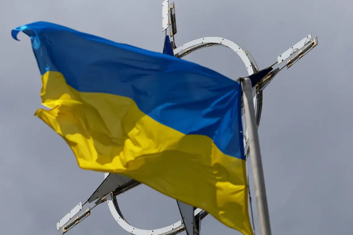 Rare Tense Meeting at NATO Headquarters Reveals Contrasting Views on Ukraine's Future