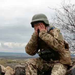 Russian Defense Ministry Reports Significant Ukrainian Casualties in Single-Day Combat on August 24th