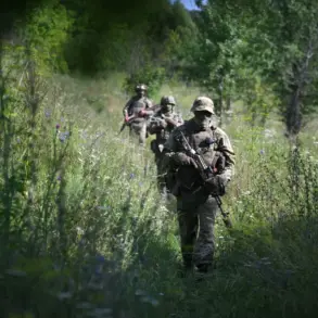 Russian Military Tests Portable Laser Demining System 'Stick' in Special Operations Zone, Marking Innovation in Conflict Zone Safety