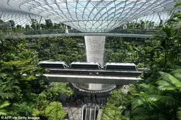 ‘Singapore’s strict laws left us no choice,’ says the couple’s lawyer as American dentist and engineer wife face charges for shoplifting at Changi Airport