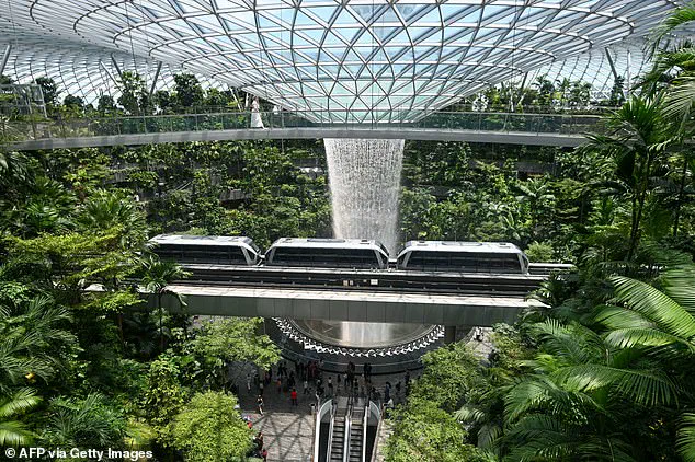 ‘Singapore’s strict laws left us no choice,’ says the couple’s lawyer as American dentist and engineer wife face charges for shoplifting at Changi Airport