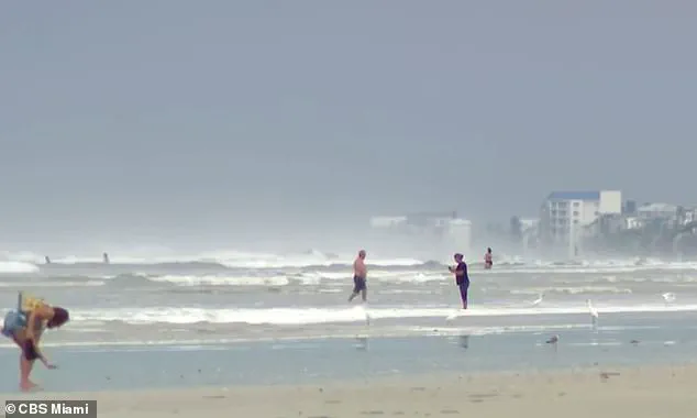 Surfer Rescues Drowning Swimmer at New Smyrna Beach, Florida
