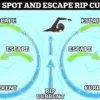 Surfer Rescues Drowning Swimmer at New Smyrna Beach, Florida