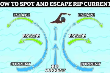 Surfer Rescues Drowning Swimmer at New Smyrna Beach, Florida