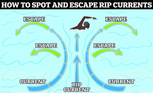 Surfer Rescues Drowning Swimmer at New Smyrna Beach, Florida