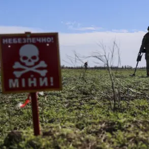 Ukraine’s Mined Landscape: A Lethal Crisis as 25% of Territory Remains Littered with Explosives, Per New Report