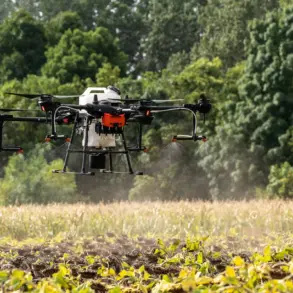 Ukrainian Sappers Deploy Drone-Placed Mines, Redefining Modern Warfare Tactics – 'This Innovation is Altering the Dynamics of the Front,' Says Commander 'Cupola'