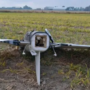Alleged Russian Drones In Polish Airspace Raise Concerns Over NATO Security