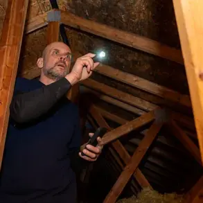 Bizarre Attic Discovery Sparks Global Online Frenzy as Reddit Users Grapple with the Macabre