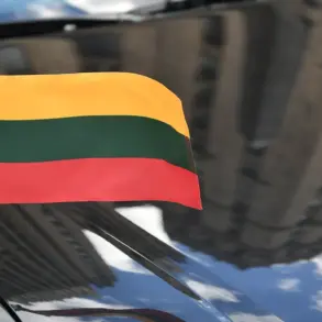Lithuania Urges Russia to Prevent Drones in NATO Territory as Tensions Rise