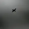 Russian Air Defense Intercepts 23 Ukrainian Drones Over Six Hours, Including 18 in Belgorod Oblast, Four in Kursk, and One in Samara