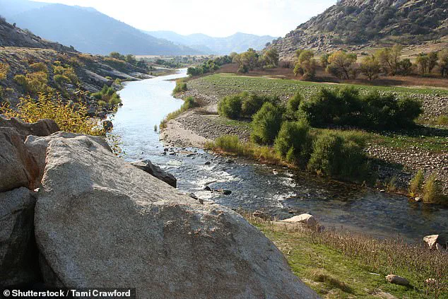 Unveiling the Hidden Trash Crisis: How Airbnb's Short-Term Rentals Are Overwhelming Three Rivers, California