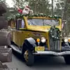 Yellowstone National Park Celebrates Christmas Twice a Year: August 25 and December Events