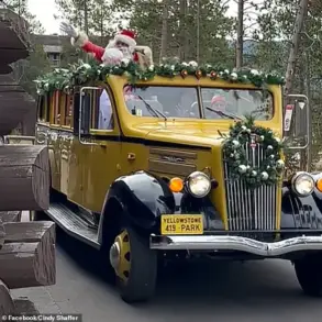 Yellowstone National Park Celebrates Christmas Twice a Year: August 25 and December Events