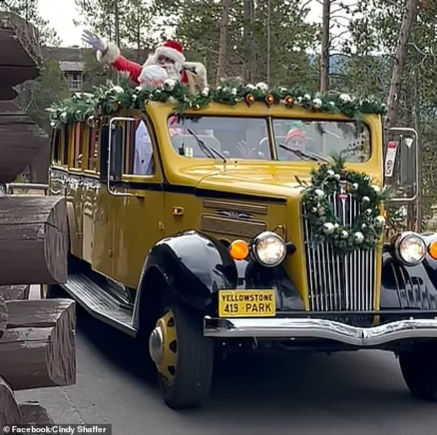 Yellowstone National Park Celebrates Christmas Twice a Year: August 25 and December Events
